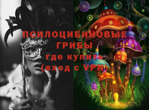 крисы Верхнеуральск