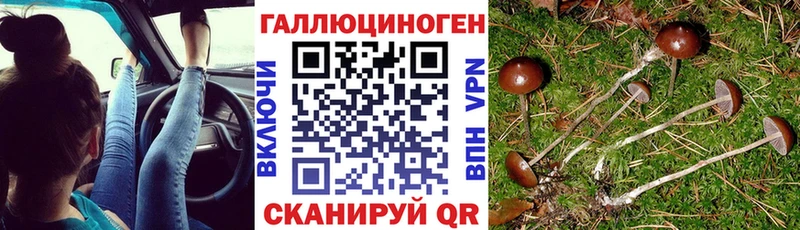 как найти наркотики  Домодедово  Псилоцибиновые грибы прущие грибы 